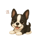 ワンだふる｜ボストンテリア【台湾語】（個別スタンプ：2）
