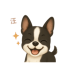 ワンだふる｜ボストンテリア【台湾語】（個別スタンプ：11）