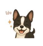 ワンだふる｜ボストンテリア【タイ語】（個別スタンプ：11）