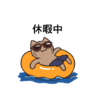 サマーネコ（個別スタンプ：3）