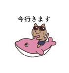 サマーネコ（個別スタンプ：10）