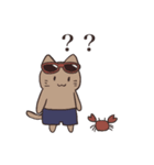 サマーネコ（個別スタンプ：17）