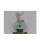 ْ いぬ（個別スタンプ：3）
