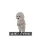 ْ いぬ（個別スタンプ：9）
