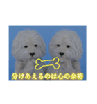 ْ いぬ（個別スタンプ：13）