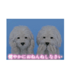ْ いぬ（個別スタンプ：14）