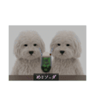ْ いぬ（個別スタンプ：17）