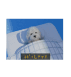 ْ いぬ（個別スタンプ：22）