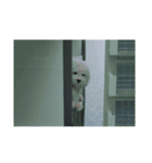 ْ いぬ（個別スタンプ：32）