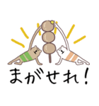庄内弁！シマクマ（個別スタンプ：8）