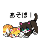 猫のスタンプ_01（個別スタンプ：1）