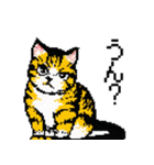 猫のスタンプ_01（個別スタンプ：3）