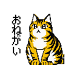 猫のスタンプ_01（個別スタンプ：5）