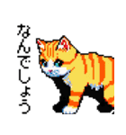 猫のスタンプ_01（個別スタンプ：9）