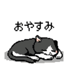 猫のスタンプ_01（個別スタンプ：11）