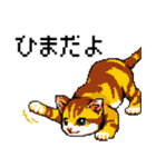 猫のスタンプ_01（個別スタンプ：13）