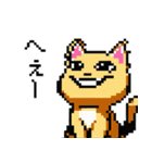 猫のスタンプ_01（個別スタンプ：16）