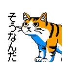 猫のスタンプ_01（個別スタンプ：17）