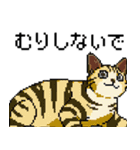 猫のスタンプ_01（個別スタンプ：19）