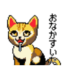 猫のスタンプ_01（個別スタンプ：23）