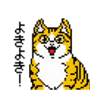 猫のスタンプ_01（個別スタンプ：24）