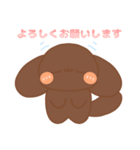 トイプードルのちょこちゃんスタンプ（個別スタンプ：7）