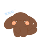 トイプードルのちょこちゃんスタンプ（個別スタンプ：13）