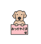 ゴールデンレトリバー くま3（イラスト）（個別スタンプ：1）