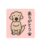 ゴールデンレトリバー くま3（イラスト）（個別スタンプ：5）