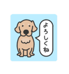 ゴールデンレトリバー くま3（イラスト）（個別スタンプ：6）
