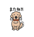 ゴールデンレトリバー くま3（イラスト）（個別スタンプ：10）
