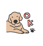 ゴールデンレトリバー くま3（イラスト）（個別スタンプ：11）
