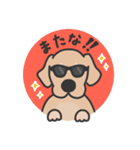 ゴールデンレトリバー くま3（イラスト）（個別スタンプ：14）