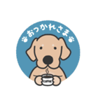 ゴールデンレトリバー くま3（イラスト）（個別スタンプ：15）