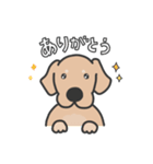 ゴールデンレトリバー くま3（イラスト）（個別スタンプ：20）