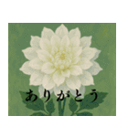 素敵な花言葉（個別スタンプ：1）