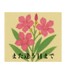 素敵な花言葉（個別スタンプ：19）