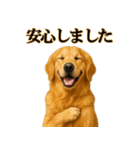 ゴールデンレトリバー☆必ず使う！敬語集（個別スタンプ：27）