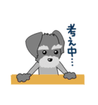 ずーっと使える シュナウザー♪（個別スタンプ：6）