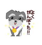 ずーっと使える シュナウザー♪（個別スタンプ：7）