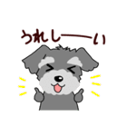 ずーっと使える シュナウザー♪（個別スタンプ：11）