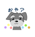 ずーっと使える シュナウザー♪（個別スタンプ：12）