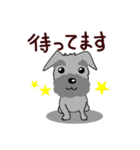 ずーっと使える シュナウザー♪（個別スタンプ：16）