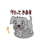 ずーっと使える シュナウザー♪（個別スタンプ：17）