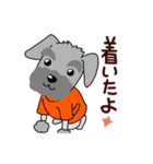 ずーっと使える シュナウザー♪（個別スタンプ：19）