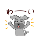 ずーっと使える シュナウザー♪（個別スタンプ：21）