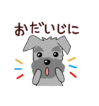 ずーっと使える シュナウザー♪（個別スタンプ：22）