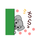 ずーっと使える シュナウザー♪（個別スタンプ：24）
