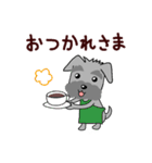 ずーっと使える シュナウザー♪（個別スタンプ：25）
