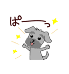 ずーっと使える シュナウザー♪（個別スタンプ：26）